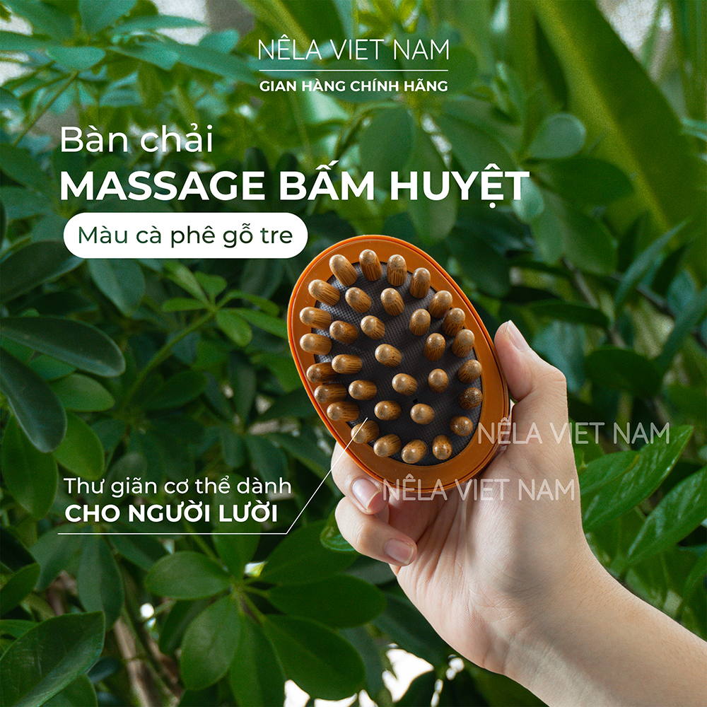 Lược Gỗ Massage Đầu Đa Năng Kinh Tuyến Từ NẾP LÀNG, Giúp Chải Thông Kinh Lạc Giảm Nhức Mỏi Toàn Thân