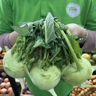Hạt Giống Củ Su Hào Năng Suất Cao, Chắc Củ