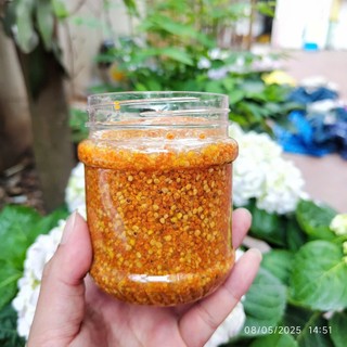 Phấn Hoa Ngâm Mật Ong Nguyên Chất