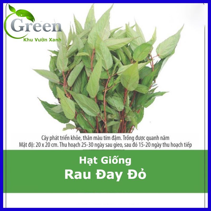 Hạt Giống Rau Đay Đỏ Dễ Trồng, Thu Hoạch Sớm, Liên Tục Gói 20 Gam