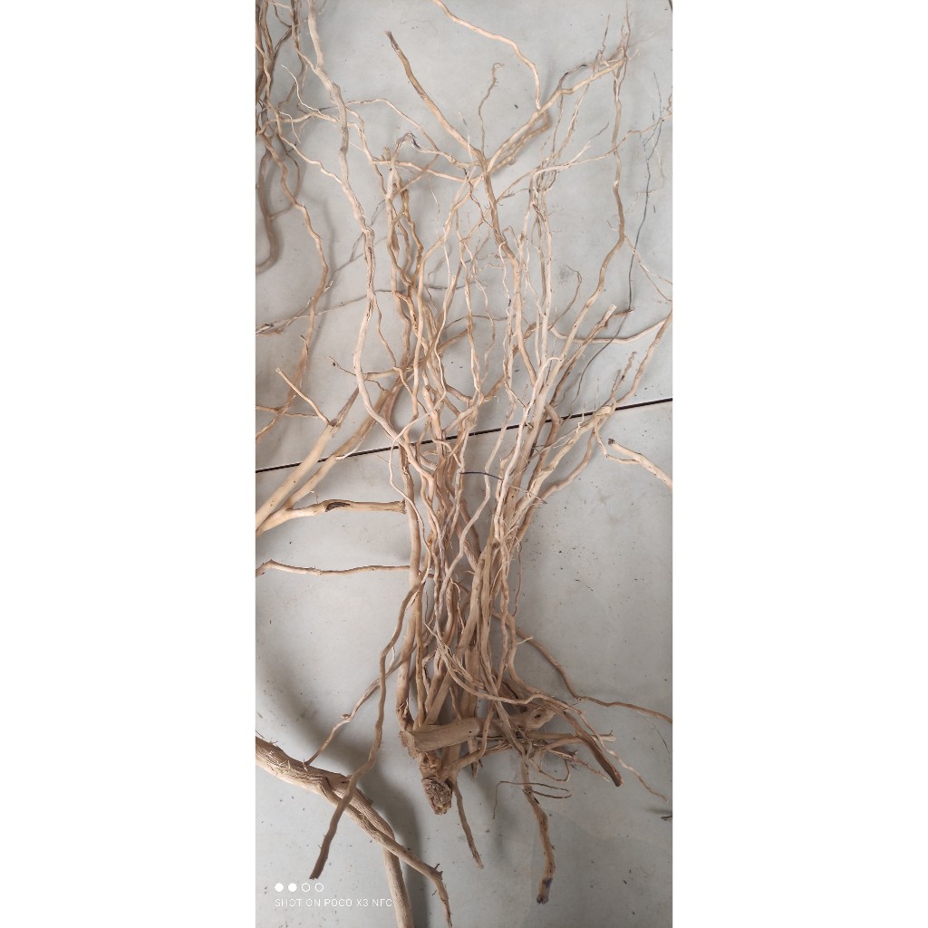 Lũa Rễ Rừng dẻo 100g - Lũa Setup Bể Thuỷ Sinh