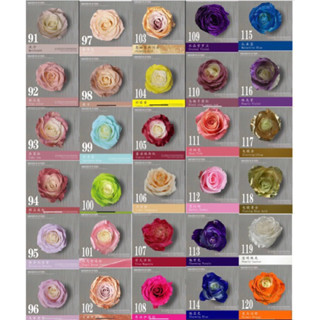 Sơn xịt tạo màu hoa sáp hoa tươi hoa khô sen đá cao cấp sịt sơn mà không lo hỏng hoa bền màu nhanh khô. màu sơn đepj