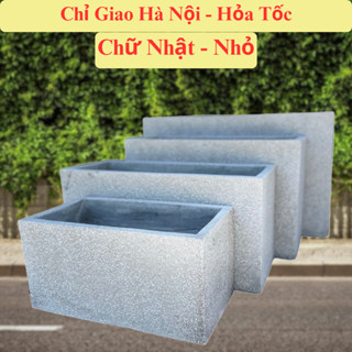 Chậu Cây Cảnh - Chậu xi măng nhẹ Chữ Nhật size nhỏ, trồng ban công ngoài trời [2]