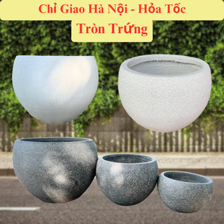 Chậu Tròn Trứng - Xi Măng Nhẹ Đá Mài - Chậu Trồng Cây