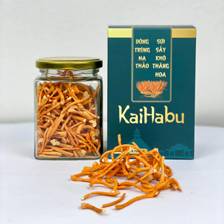 Lọ 15 gam sợi gãy - Đông trùng hạ thảo sợi sấy khô thăng hoa KaiHabu