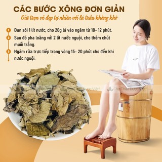 Lá trầu không khô 100g, xông vùng kín, giúp làm sạch, giảm viêm nhiễm phụ khoa