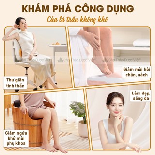 Lá trầu không khô 100g, xông vùng kín, giúp làm sạch, giảm viêm nhiễm phụ khoa