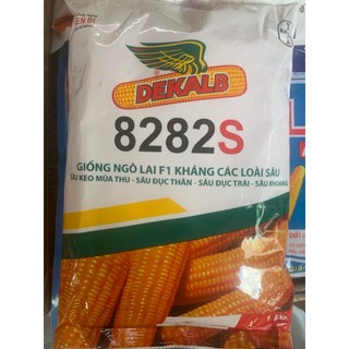 Hạt Giống Bắp (Ngô) Lai F1 Kháng Các Loại Sâu DK 8282S Gói 1Kg