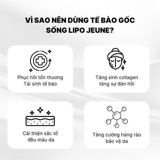 Serum Tế bào Gốc Lipo Jun