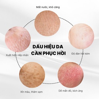 Serum Tế bào Gốc Lipo Jun