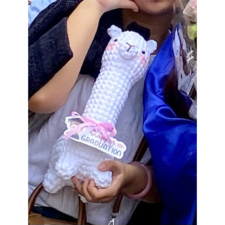  Lạc đà alpaca tốt nghiệp bằng len handmade gấu bông tốt nghiệp lạc đà alpaca bằng len nhung đũa làm quà tặng tốt nghiệp 