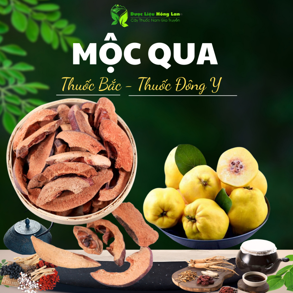 Mộc Qua sấy khô loại 1 - (loại to, thơm, ngon không chất bảo quản) - Dược Liệu Hồng Lan