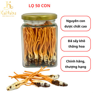 50 con ký chủ nhộng Đông trùng hạ thảo sấy khô thăng hoa KaiHabu