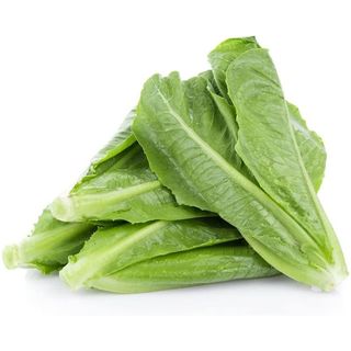 Hạt Giống Xà Lách Romaine Xanh Chịu Nhiệt Tốt, Trồng Quanh Năm