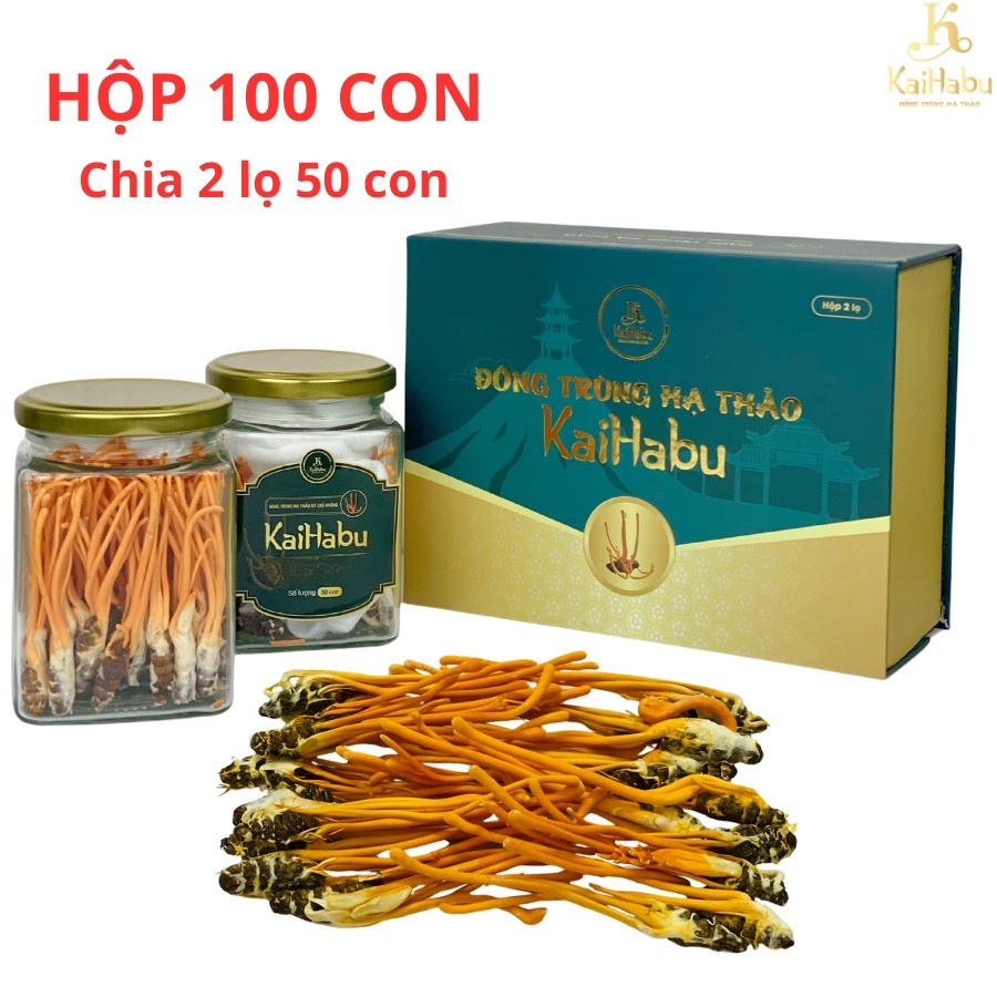 100 con ký chủ nhộng Đông trùng hạ thảo sấy khô thăng hoa KaiHabu