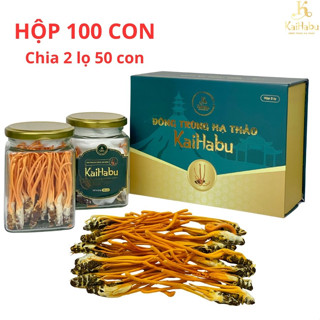100 con ký chủ nhộng Đông trùng hạ thảo sấy khô thăng hoa KaiHabu