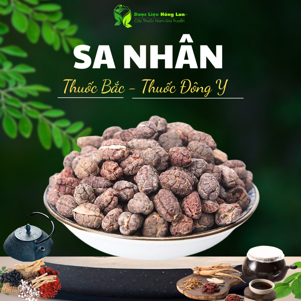 Sa Nhân hạt khô sạch nguyên chất loại 1 - Dược Liệu Hồng Lan