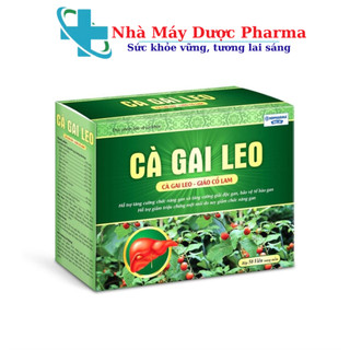 Bổ gan Cà Gai Leo thảo dược mát gan, giải độc gan - 50 viên [Cà Gai Leo Gold Tex Vỉ Xanh]