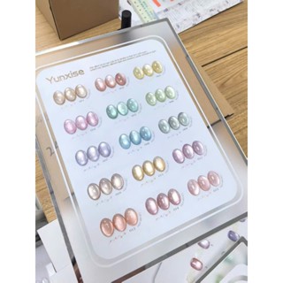 Set sơn mắt mèo ánh nước YUNXISE 15 màu hàng chính hãng chất sơn cao cấp tặng bảng màu dungnail