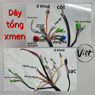  Dây Điện Tổng Xe Xmen Đấu Nối Sẵn Giắc Cắm Cho IC Votol Tích Hợp Dây Demi  Đổi nguồn 12V Phía Sau  