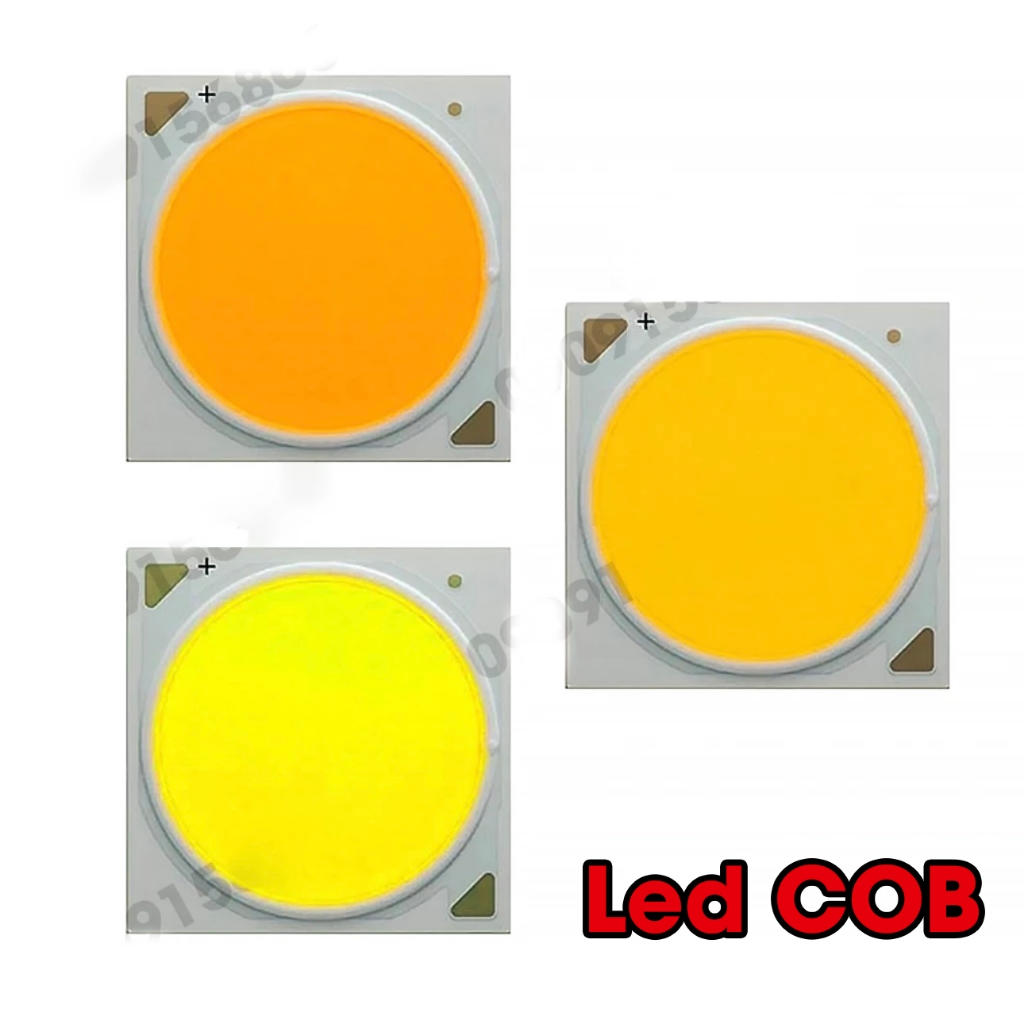 Mắt led cob 10W