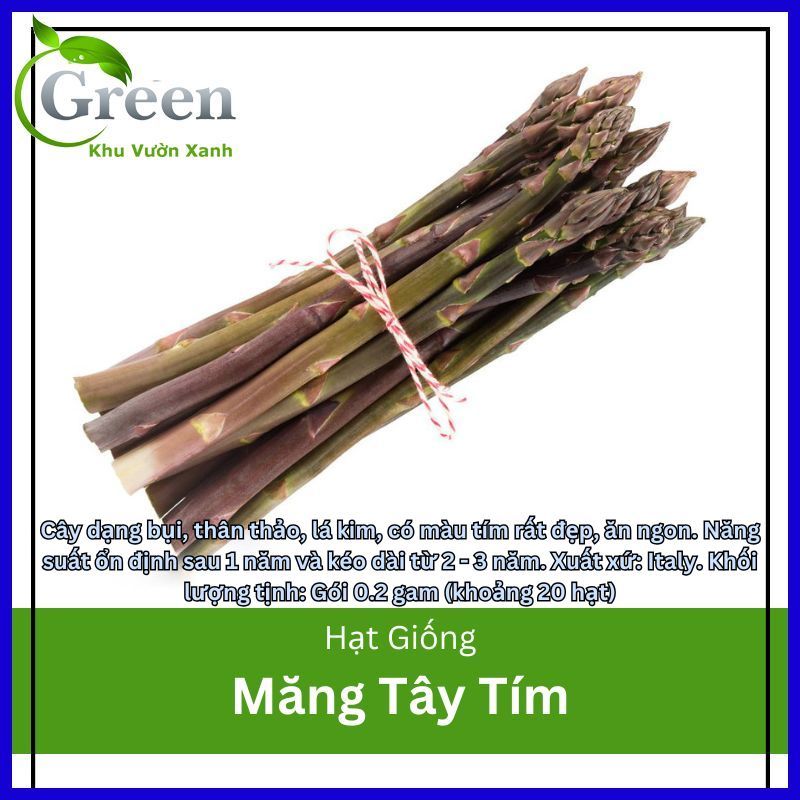 Hạt Giống Măng Tây Tím Dễ Trồng, Sinh Trưởng Mạnh