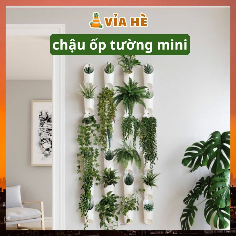 Chậu nhựa ốp tường Vỉa Hè Garden size 9x15cm màu trắng chậu treo tường nội thất phòng tắm ban công