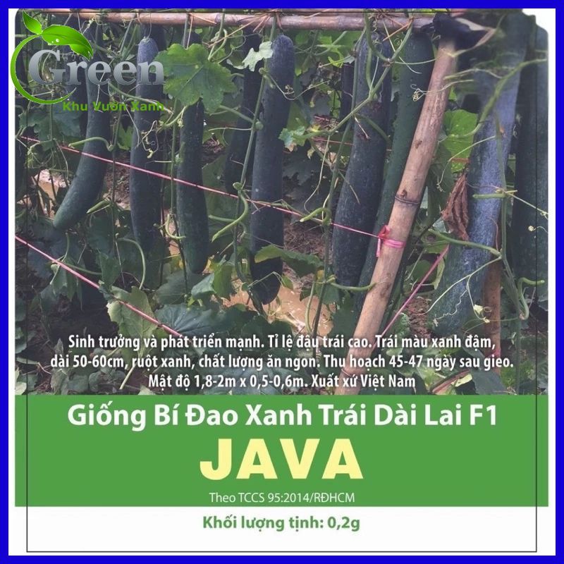 Hạt Giống Bí Đao Xanh Trái Dài F1 JAVA Tỉ Lệ Đậu Trái Cao, Sinh Trưởng Mạnh