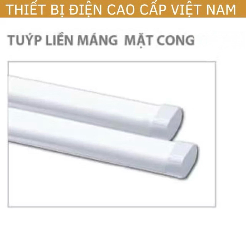 (Asia) Đèn tuýp liền máng hình Oval chính hãng Asia, mặt cong thân nhựa, bảo hành chính hãng 2 năm