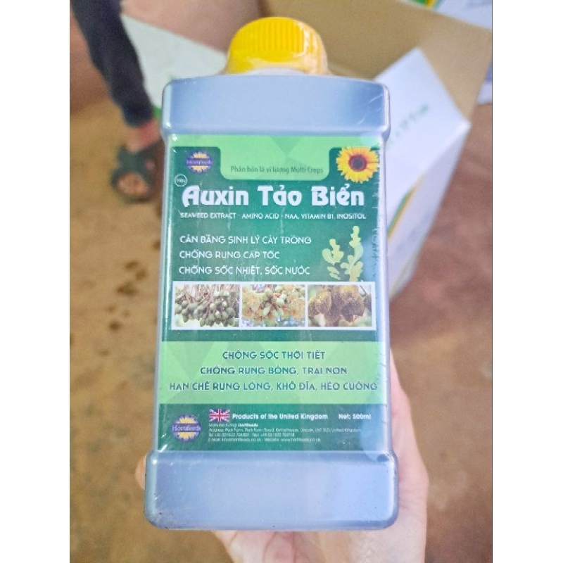 Auxin Tảo biển - Phân Bón lá Kim Nông (500ml) điều hòa sinh trưởng