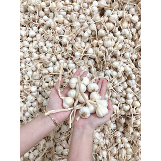 Tỏi Lý Sơn 500g