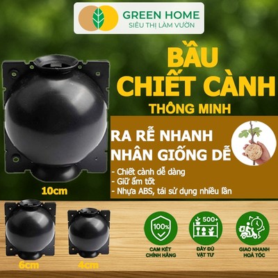 Bầu Chiết Cành GreenHome, Nhiều Kích Thước, Khả Năng Ra Rễ, Chống Úng Cành Chiết, Độ Bền 2 Năm