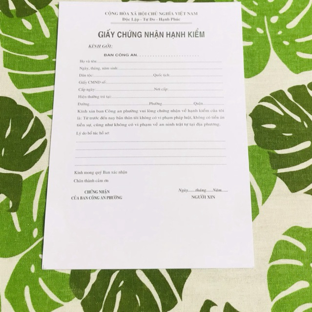 GIẤY HẠNH KIỂM ( 100 TỜ/XẤP)