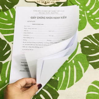 GIẤY HẠNH KIỂM ( 100 TỜ/XẤP)
