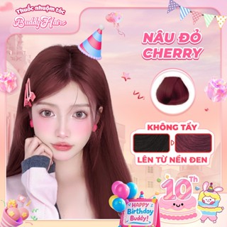 Thuốc nhuộm tóc màu NÂU ĐỎ CHERRY, STRAWBERRY thuốc nhuộm tóc tại nhà Buddyhairs tặng kèm phụ kiện nhuộm tóc