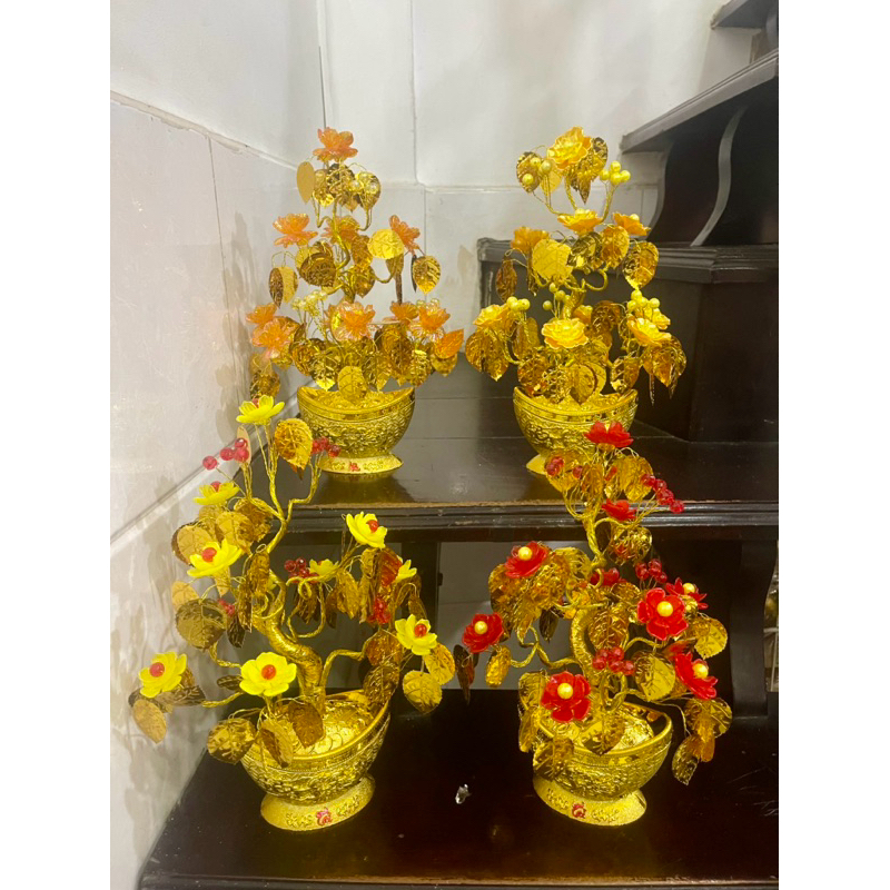 Lá Ngọc Cành Vàng cao 35-38cm