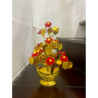 Lá Ngọc Cành Vàng cao 35-38cm