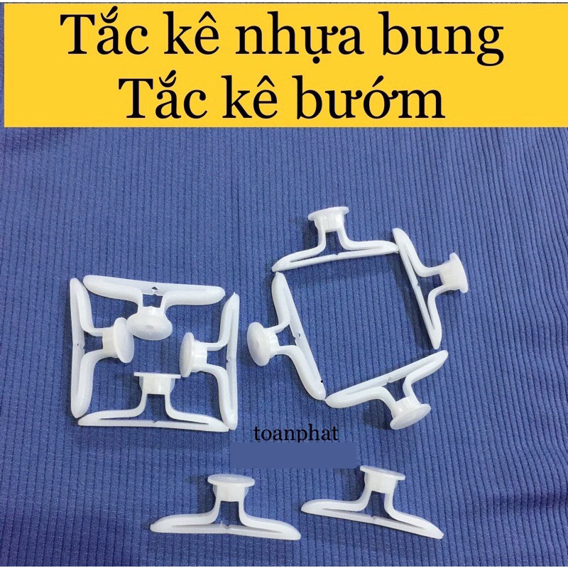 [combo10 con] Tắc kê rút thạch cao