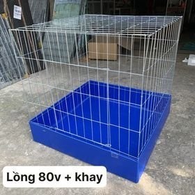 lồng gà chọi, lồng vuông 80* 80 tặng khay tặng dây thít nan 2,8 viền đứng 4 li