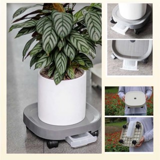 Đế Kê Chậu Cây-Đế Lót Chậu Hoa,Cây Cảnh Có Bánh Xe Di Chuyển Đa Năng Có Khay Hứng Nước Tiện Lợi [bánh xe có khóa chốt]
