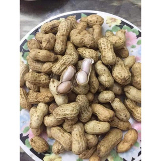 NAY EM   CÓ LẠC TƯƠI🥰🥰 🤤KO UỐNG BIA CŨNG LUỘC MÀ ĂN Lạc to chắc ngon ngọt chỉ #80k/2kg  #lạctươi #lạcluộc