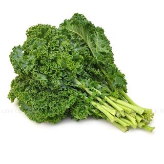 Hạt Giống Cải Xoăn Kale Trồng Quanh Năm, Năng Suất Cao Thu Hoạch Liên Tục