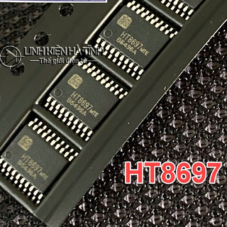Túi 2 con IC công suất kênh đôi Class AB/D HT8697MTE HT8697 2X9,5W TSSOP-20 LKTT