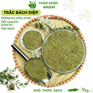 Trắc bách diệp khô Lá trắc bách diệp gội đầu xanh thơm sạch TBD Thảo Dược Anam