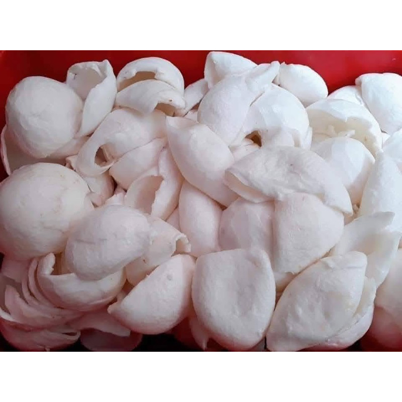 (Đặt đơn trước 2h chiều) Hoả tốc 1kg Cùi Dừa Non Tươi Ngon Mỗi Ngày Luôn Mới