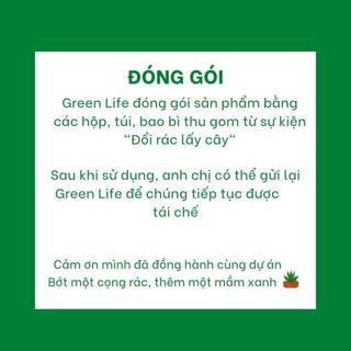 Cây Đa Cẩm thạch