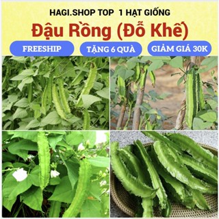 Hạt giống ĐẬU RỒNG cao sản (đỗ khế)