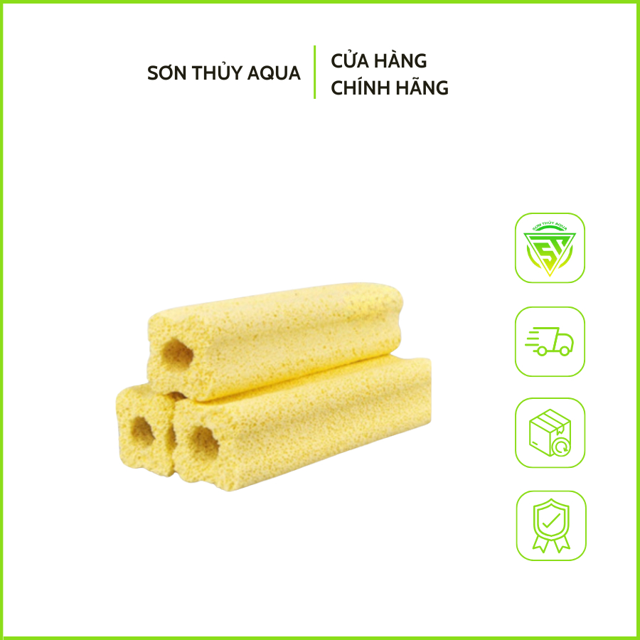 Combo 10 - Sứ thanh hoa mai