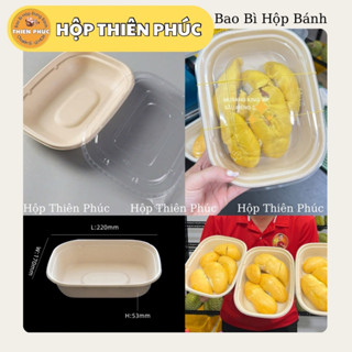 [Loại Tốt] 50 Hộp Bã Mía 1 Ngăn Thân Thiện Môi Trường – Dùng Đựng Bánh, Trái Cây, Hộp đựng cơm Sầu Riêng , sushi,sashimi