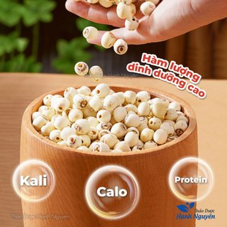 Hạt sen bở 50g-100g, hạt sen khô, thơm, bùi dùng nấu chè, cháo, hầm canh, nấu xôi - Thảo Dược Hạnh Nguyên